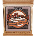 ERNIE BALL  2152 Струны для акустической 12-струнной гитары 10-48