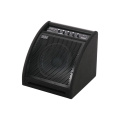 SOUNDKING DS50 Монитор для электронной ударной установки, 50Вт