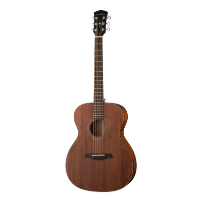 PARKWOOD S22M-NS Акустическая гитара с чехлом