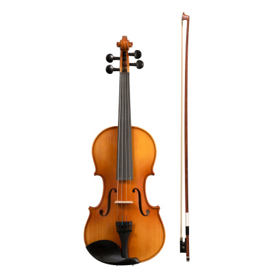 CASCHA HH-2050 4/4 Скрипка с футляром и смычком