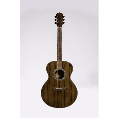 SEVILLIA DS-300 TBK Акустическая гитара