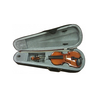 FLEET FLT-VP1/8 Скрипка с футляром и смычком