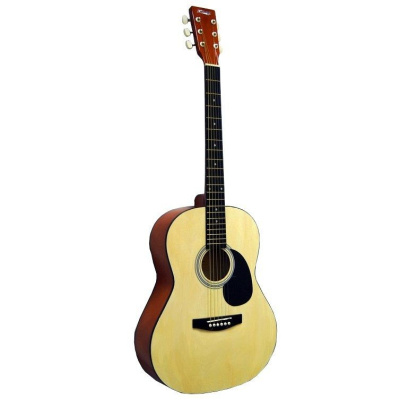 HOMAGE LF-3900 Акустическая гитара