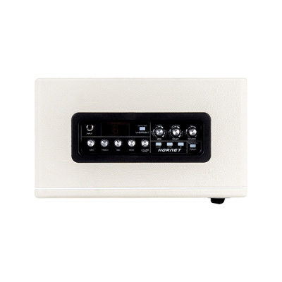 MOOER DH06-Hornet-30W-WH Комбоусилитель гитарный