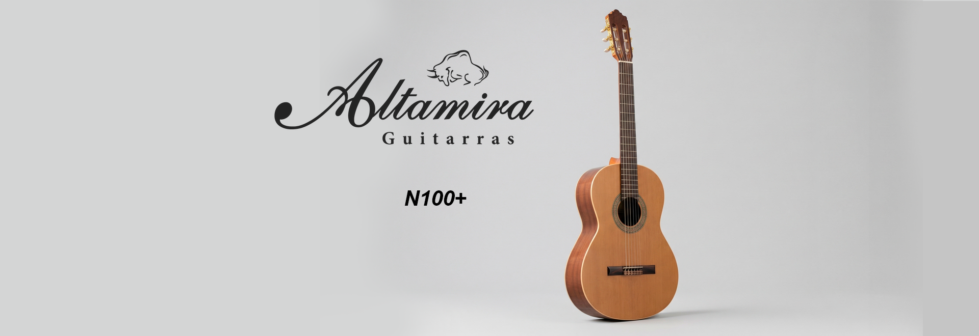 ALTAMIRA N100