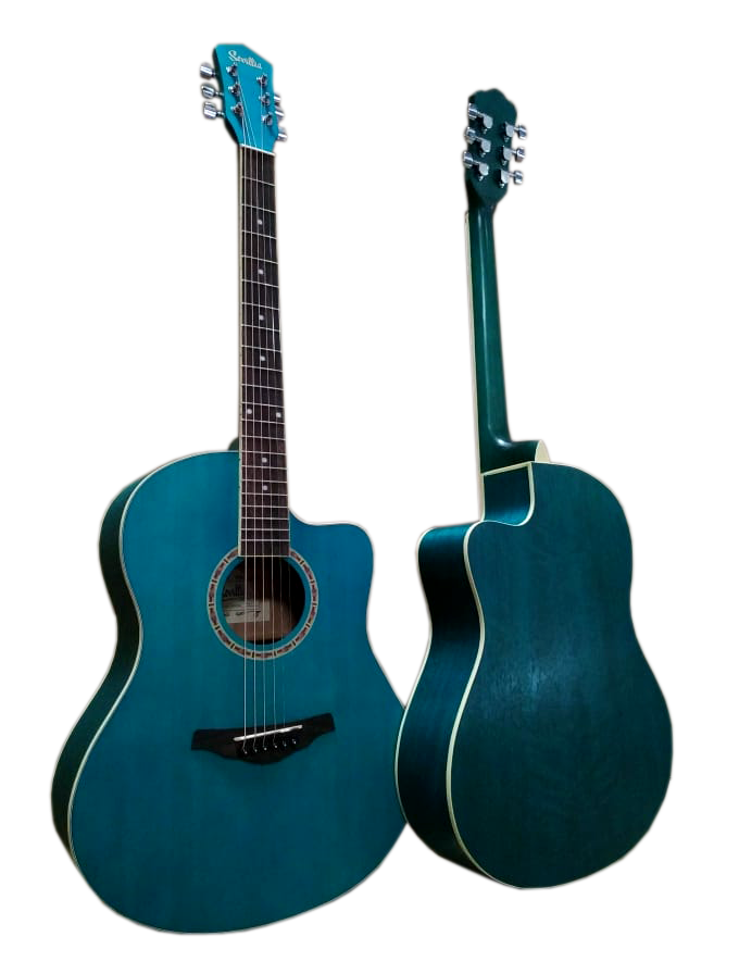 SEVILLIA IWC-39M BLS Акустическая гитара
