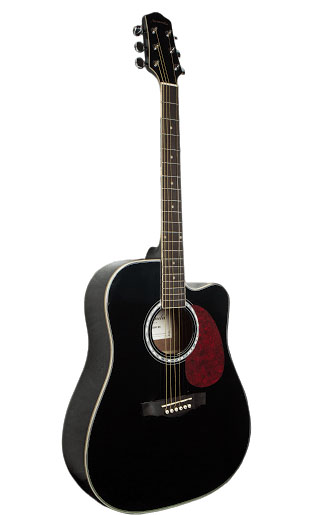 NARANDA DG220CBK Акустическая гитара