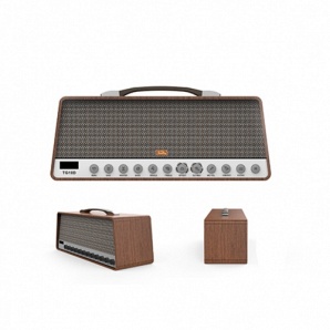 SOUNDKING TG10D Комбоусилитель гитарный